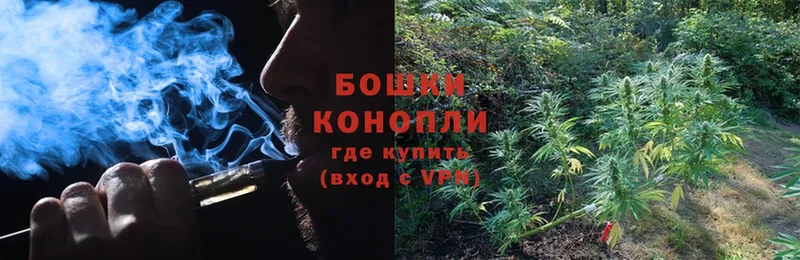 дарнет шоп  Калач-на-Дону  Конопля OG Kush 